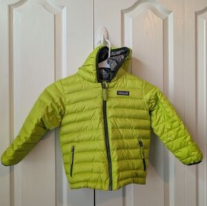 Patagonia Vibrant Green Hooded Jacket